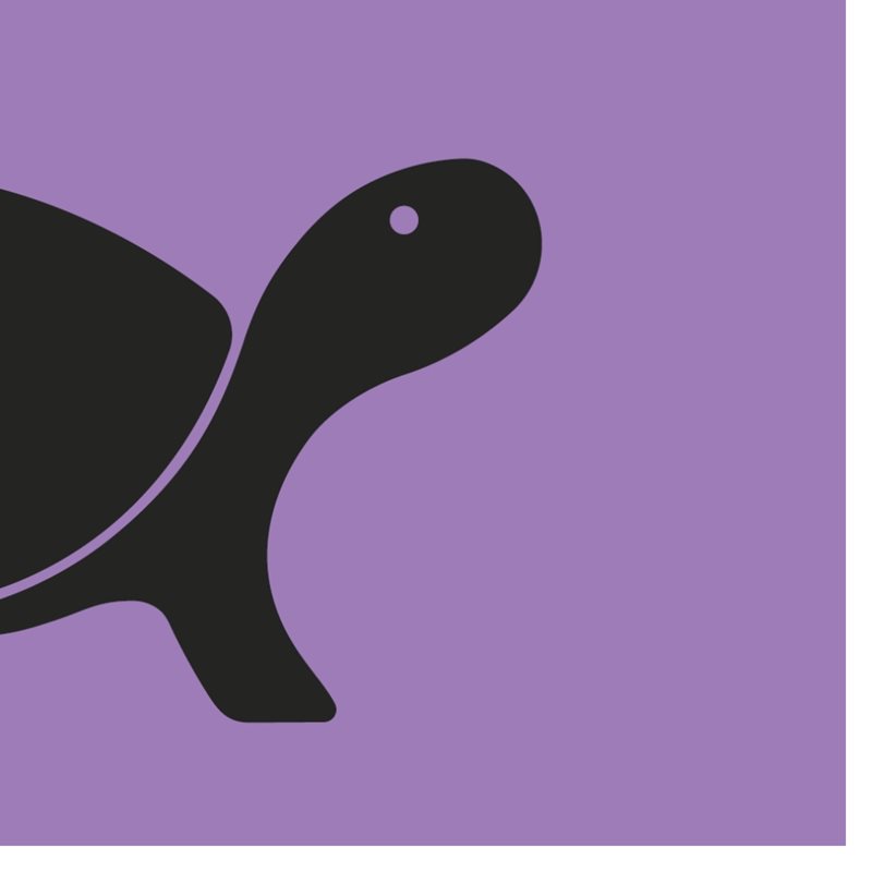 Turtle Icon