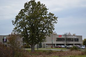 Brockville Campus Exterior