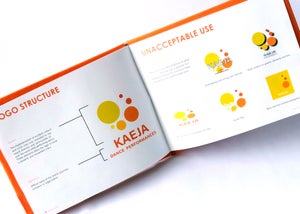 The new Kaeja logo design and unacceptable uses of the design