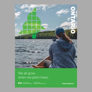The poster design featuring Ontario