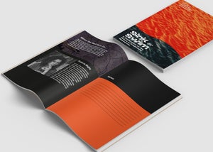The booklet designed for the Sink or Swim conference featuring the cover and a spread